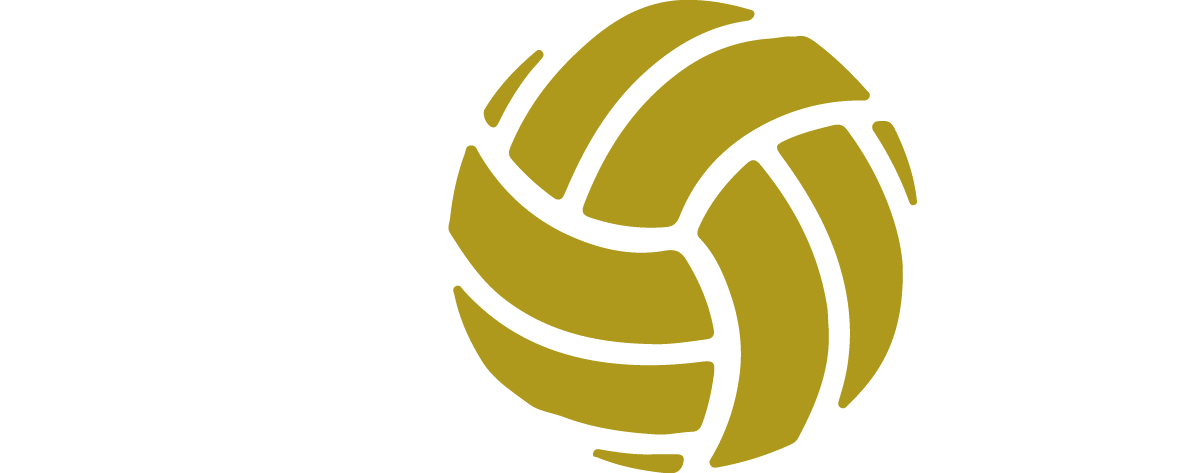 Logo Master Spot Volley
