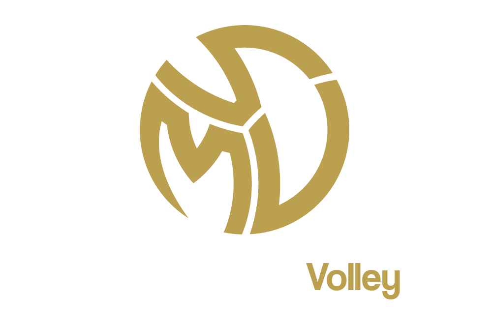 Master Spot Volley