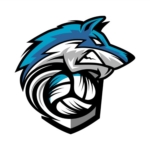 Logo du groupe 28 - Nogent Le Roi - ESN Volley-Ball Nogent Le Roi