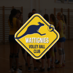 Logo du groupe 59 - Wattignies - Volley-ball club wattignies